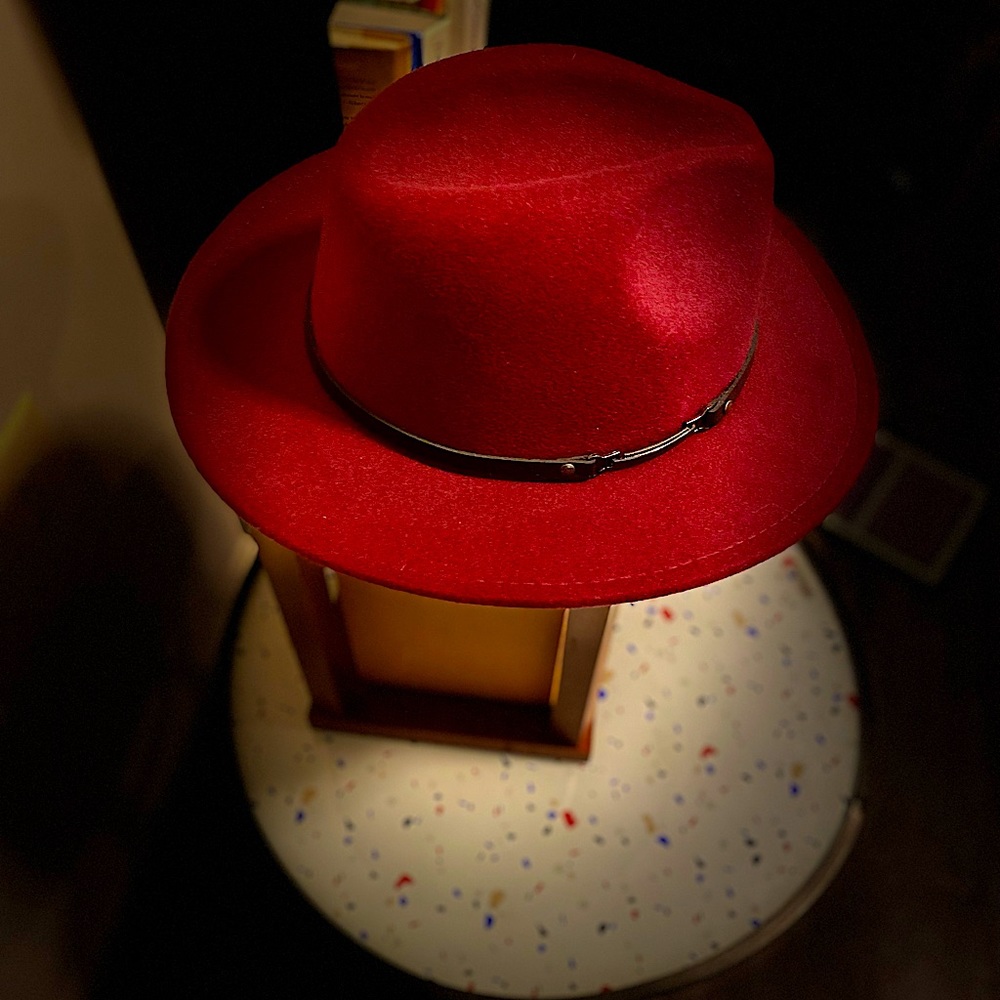 Never Worn/Well Kept Einskey Fedora Felt Hat